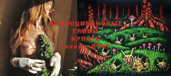 гидра Новодвинск