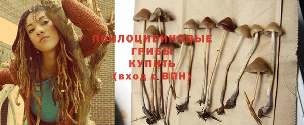 герыч Няндома