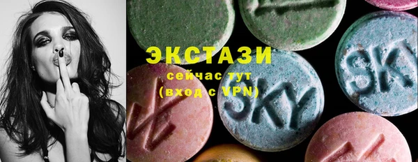 гидра Новодвинск