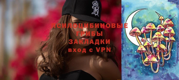 гидра Новодвинск