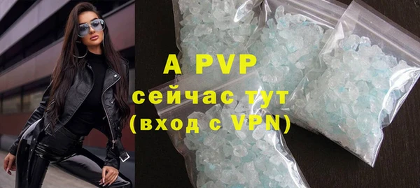 гидра Новодвинск