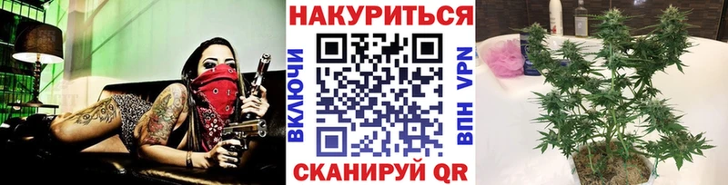 Купить закладки  Анапа  Каннабис индика 